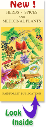 cover of Rainforest Publications Latin America Herbs, Spices, and Medicinal Plants Pocket Guide