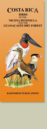 cover of Rainforest Publications Pocket Guide for the Birds of the Pacific Dry Forest in Costa Rica