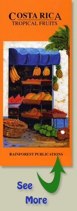 cover of Rainforest Publications Pocket Guide to the Tropical Fruit in Costa Rica