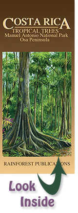 cover of the Rainforest Publications Pocket Guide to Tropical Trees in the Manuel Antonio State Park on the Osa Peninsula in Costa Rica