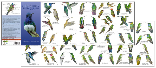 image of one side of the Costa Rica Central Valley Birds field guide