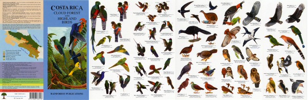image of one side of the Costa Rica Cloud Forest and Highland Birds field guide