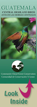 pocket field guide to the birds of Guatemala's central highlands