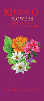 coming soon: Pocket field guide to Mexican flowers in the Caribbean regions