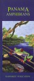 cover of Panama amphibians pocket field guide