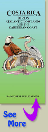 cover of Rainforest Publications Pocket Guide to the birds of Costa Rica's Atlantic lowlands and Caribbean coast