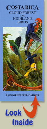 cover of Rainforest Publications Pocket Guide to the Birds of Costa Rica's Cloud Forests and Highlands