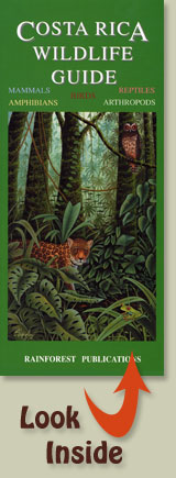 cover of Rainforest Publications General Wildlife Pocket Field Guide
