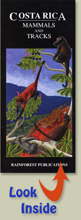 cover of pocket field guide for mammals found in Costa Rica, with guide to mammal tracks