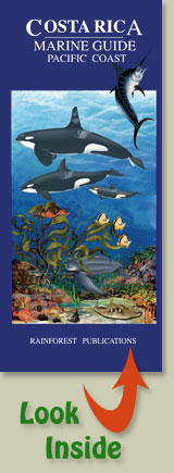 cover of Rainforest Publications Costa Rica Pacific Coast Marine Pocket Guide