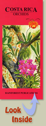 cover of Rainforest Publications Pocket Guide to the Orchids of Costa Rica