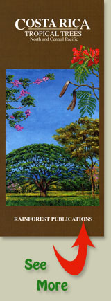 cover of the Rainforest Publications Pocket Guide to Tropical Trees in Costa Rica