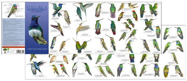 image of one side of the Costa Rica Central Valley Birds field guide