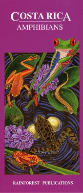front cover of Costa Rica Amphibians Pocket Field Guide