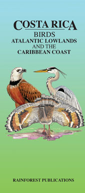 front cover of Costa Rica Birds of the Atlantic Lowlands and the Caribbean Coast Pocket Field Guide