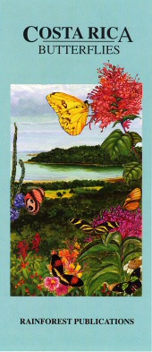 front cover of Costa Rica Butterflies Pocket Field Guide
