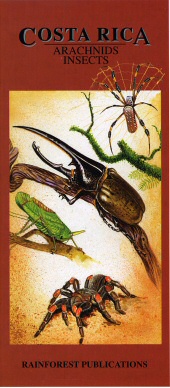 front cover of Costa Rica Insects Pocket Field Guide