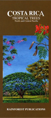 front cover of Costa Rica Tropical Trees Pocket Field Guide