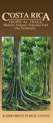 front cover of Costa Rica Tropical Trees on the Osa Peninsula Pocket Field Guide