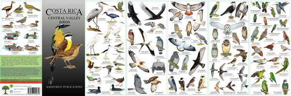image of one side of the Costa Rica Central Valley Birds field guide