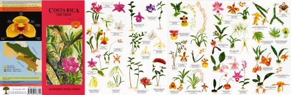 image of one side of the Costa Rica orchid guide