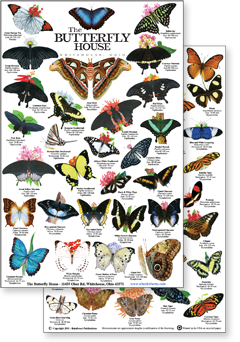 custom flat laminated guide for the Butterfly House in Whitehouse, Ohio