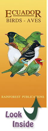 pocket field guide to the birds of Ecuador
