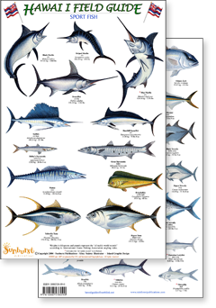 portion of Hawaii Sport Fish guide - click to view an enlargement of the field guide image  in a popup window