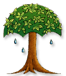 Rainforest Publications logo